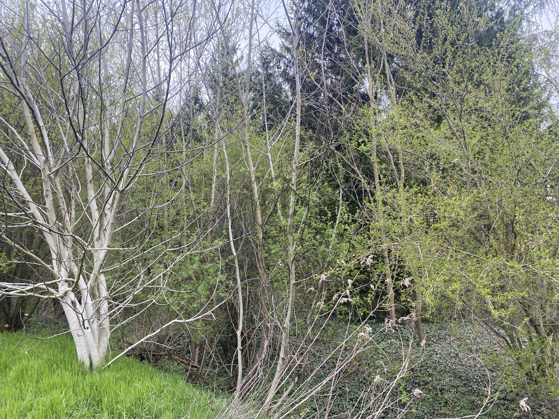 Gallery zoom image