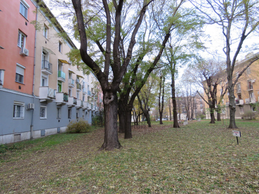 Index image