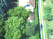 Index image