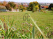 Index image