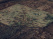 Index image
