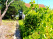 Index image
