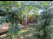 Index image