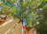 Index image