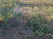 Index image