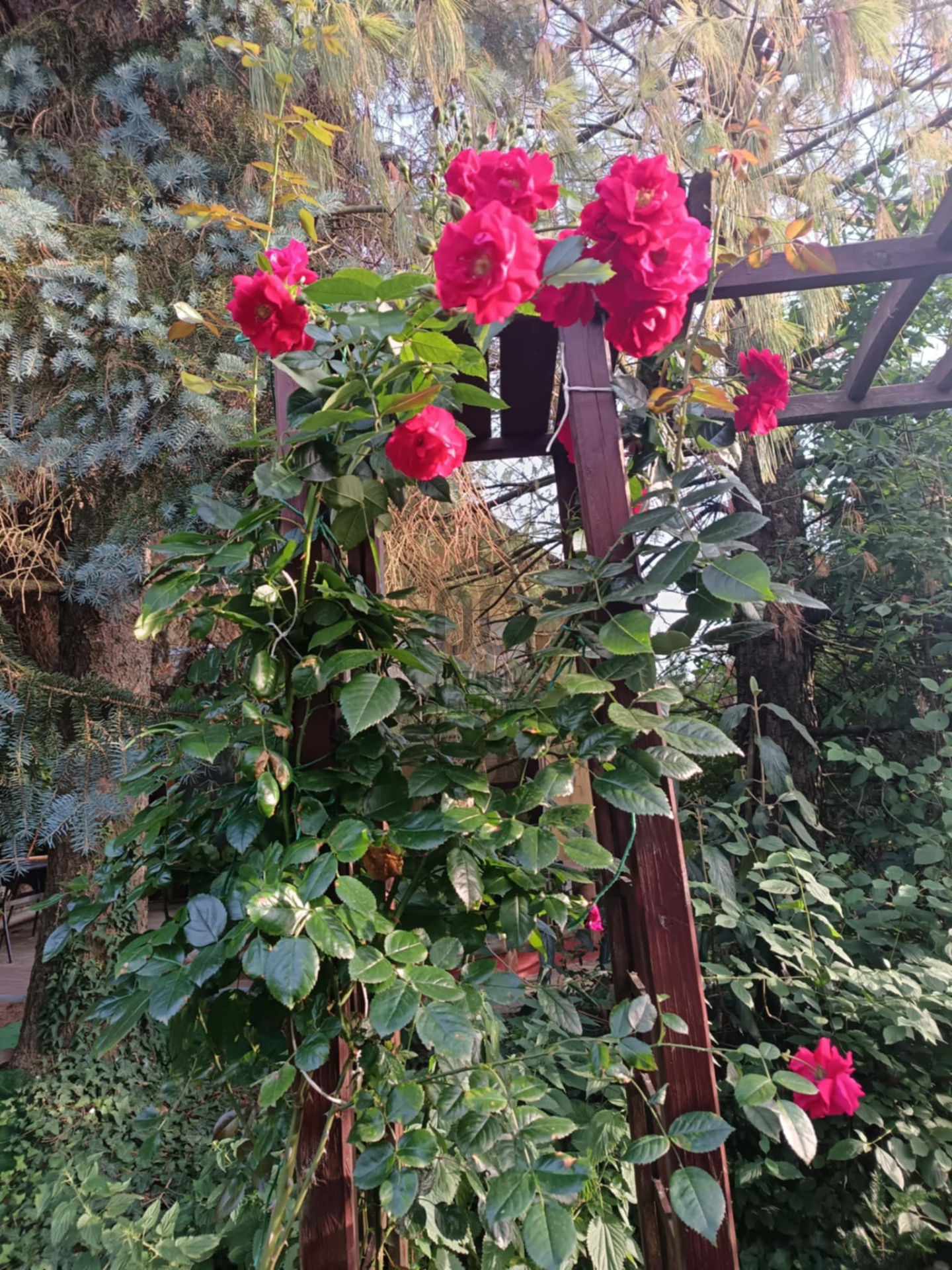 Gallery zoom image