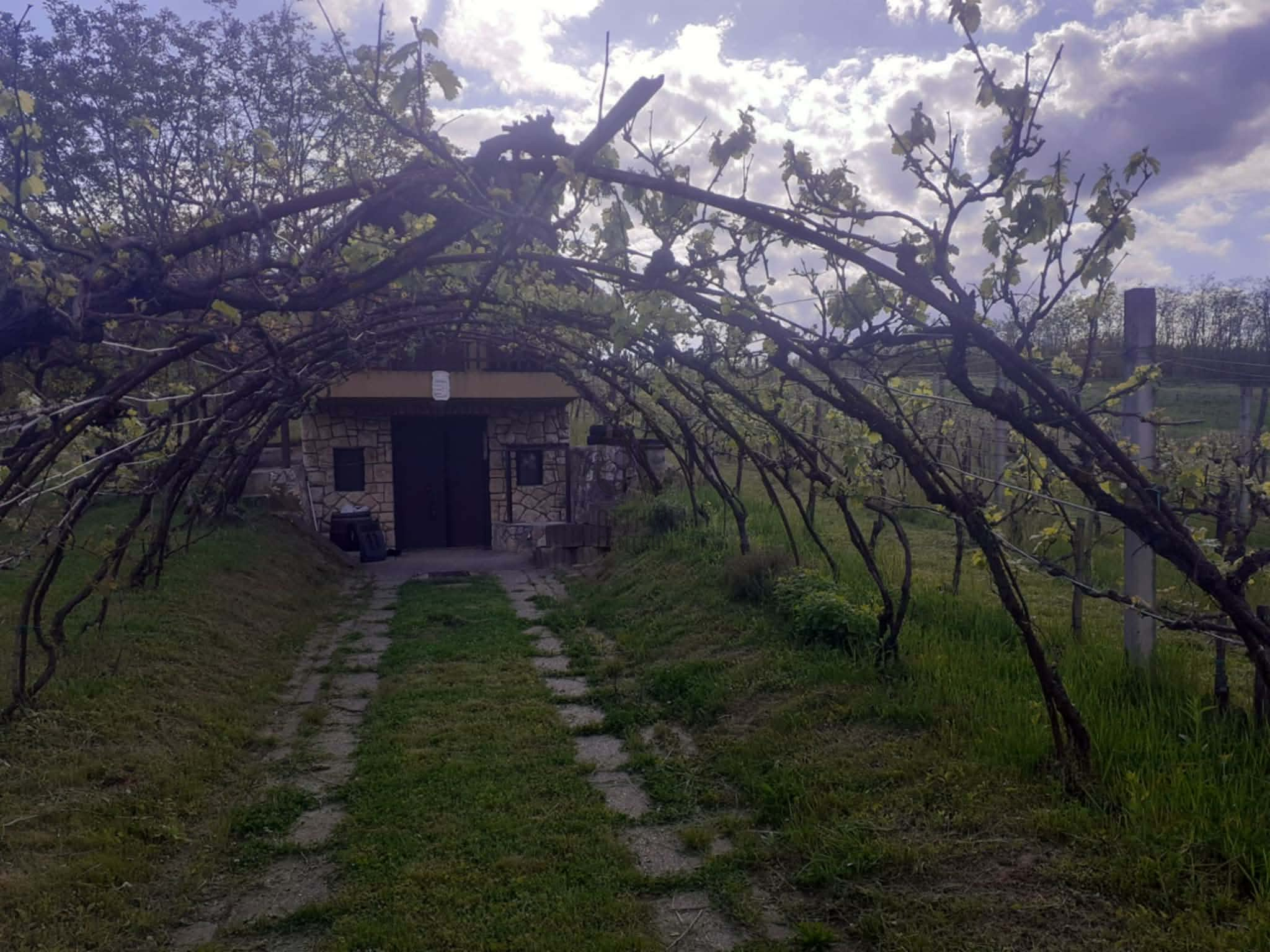 Gallery zoom image