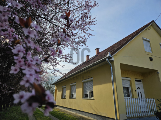 Index image