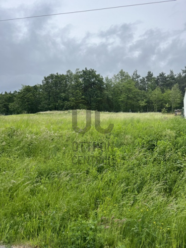 1116m² · Telek · 19.500.000 Ft