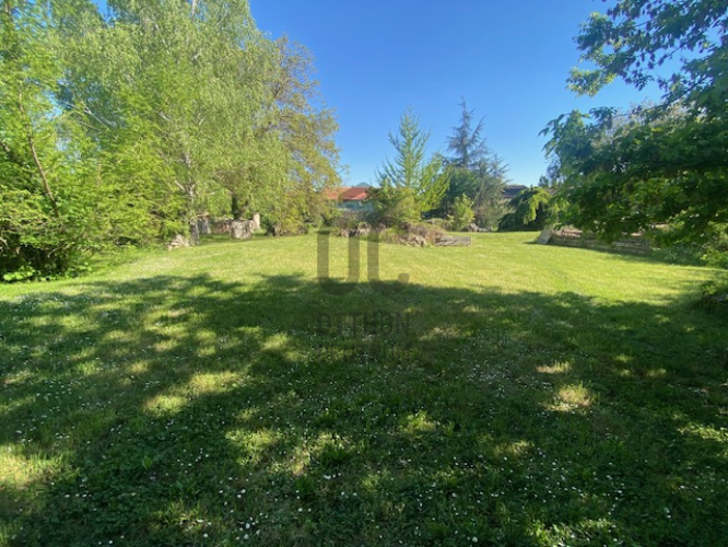 705m² · Telek · 40.000.000 Ft