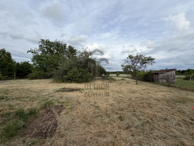 DTK099835