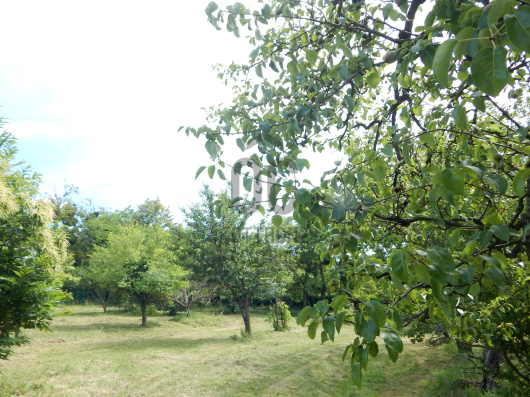Index image