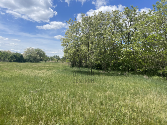 5683m² · Telek · 10.000.000 Ft