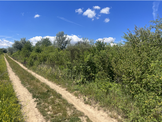 3994m² · Telek · 280.000.000 Ft
