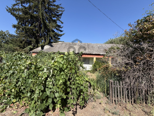 Index image