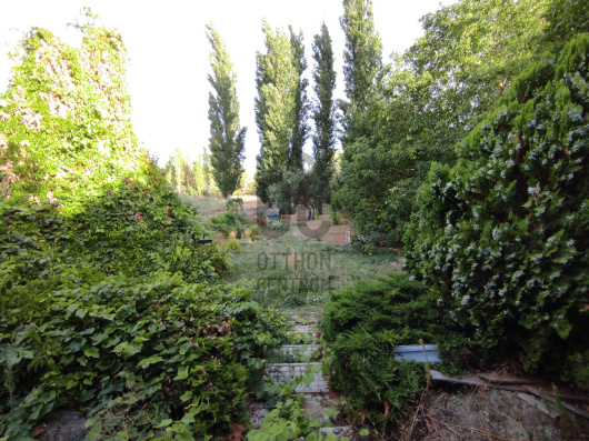 Index image