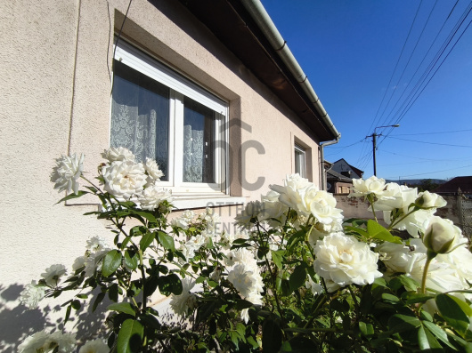 Index image