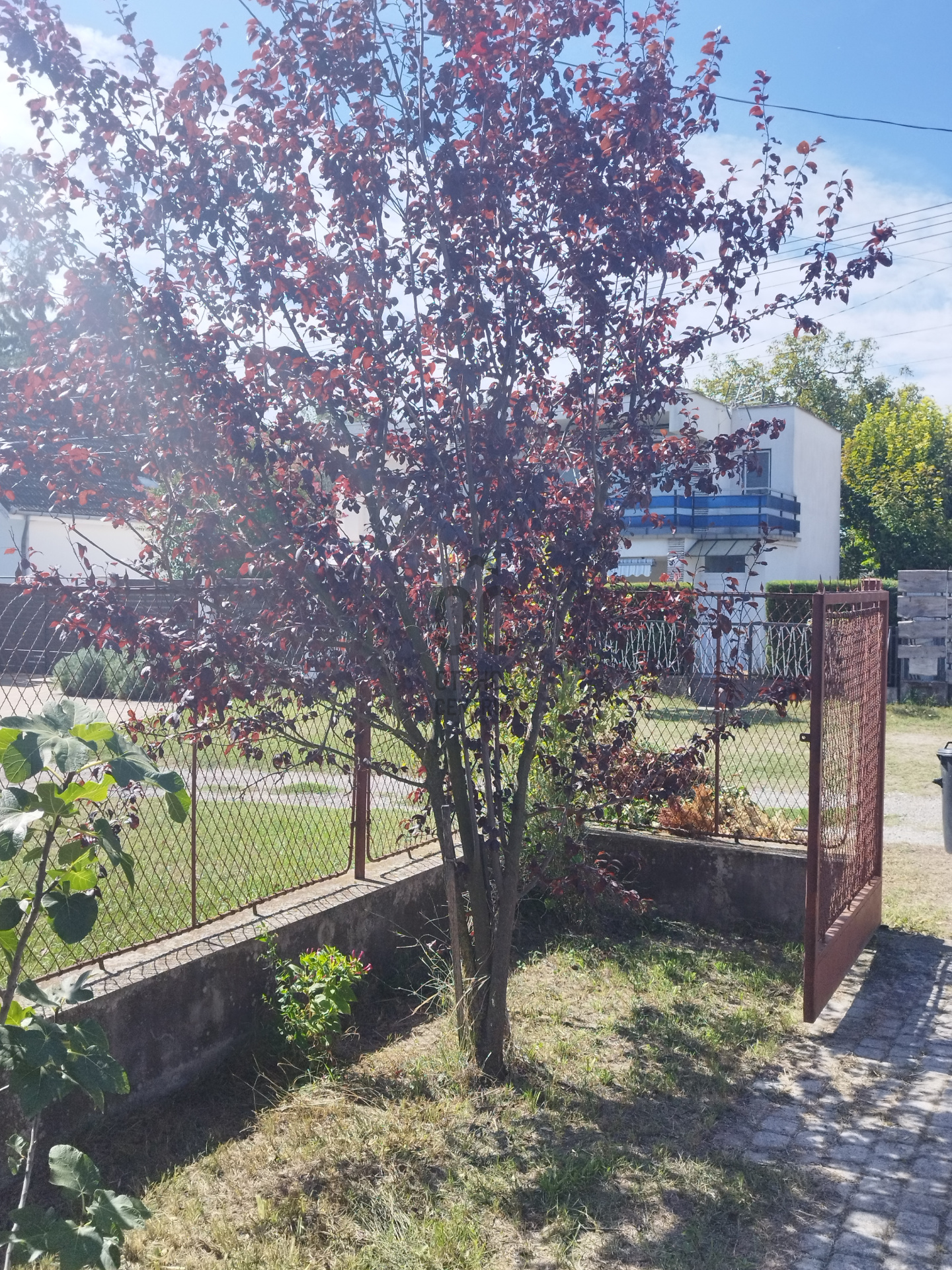 Gallery zoom image