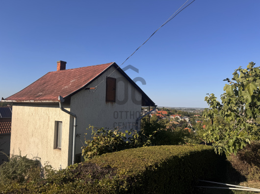 Index image