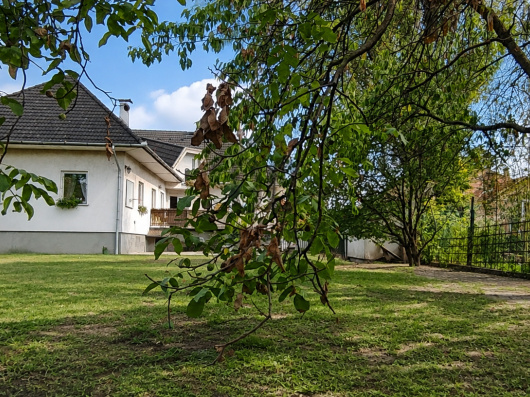 Index image